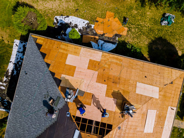 Best Gutter Installation and Roofing  in Marysville, MI