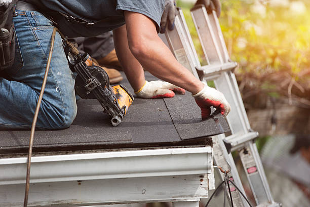 Best Metal Roofing Contractor  in Marysville, MI