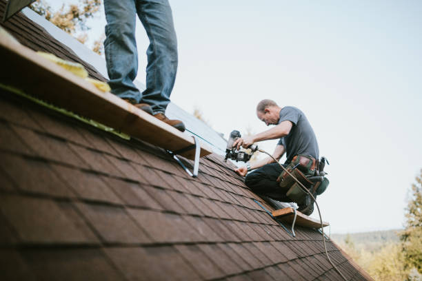 Best Local Roofing Companies  in Marysville, MI